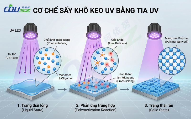 Cơ Chế và Thời gian Sấy Khô Keo Uv Bằng Máy Sấy Uv