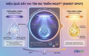 Hiệu Quả Sấy Uv - Sweet Point